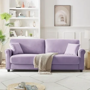 Modern Loveseat Sofa for Living Room